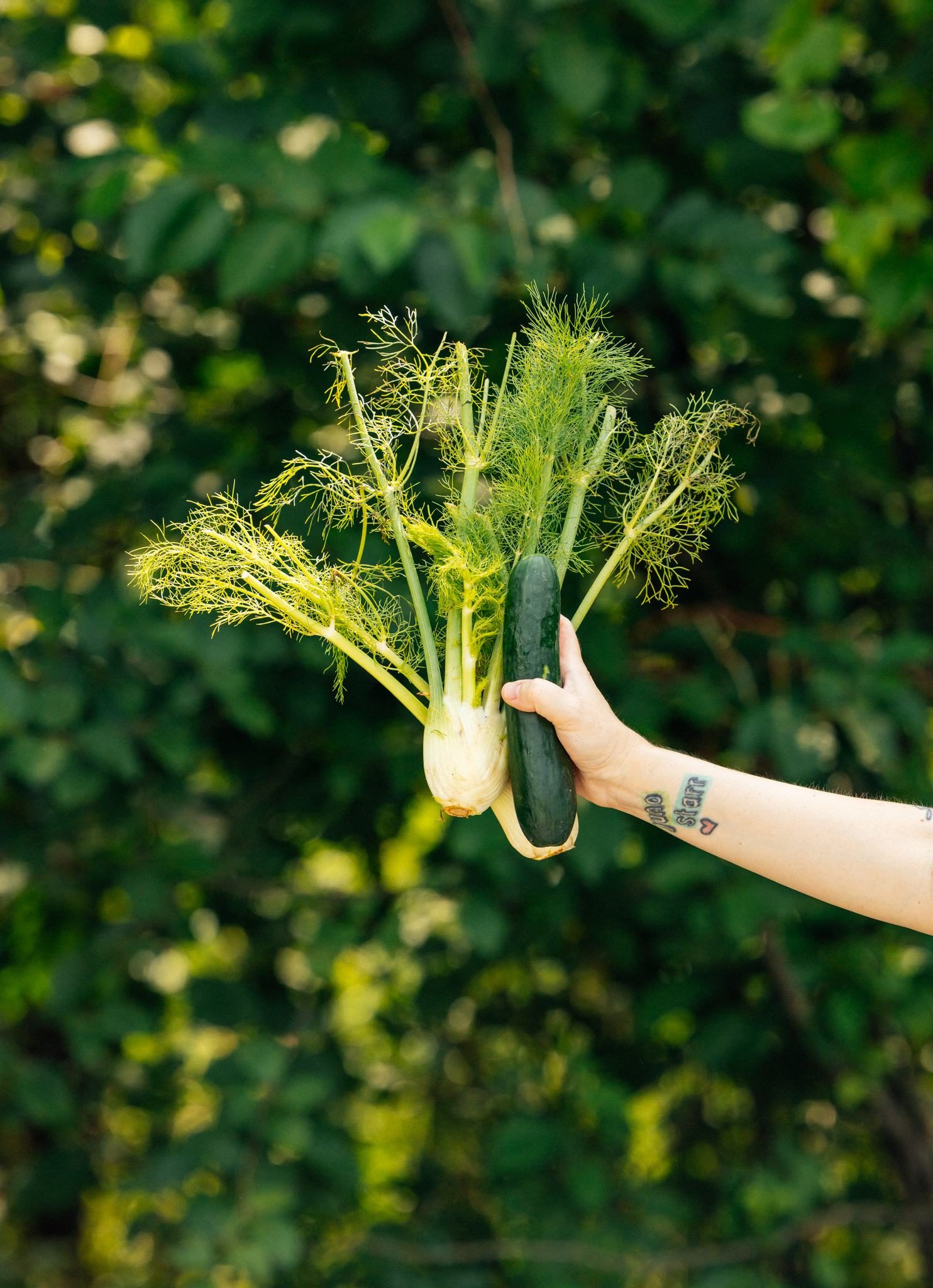 Brome Lake Farmers’ Market