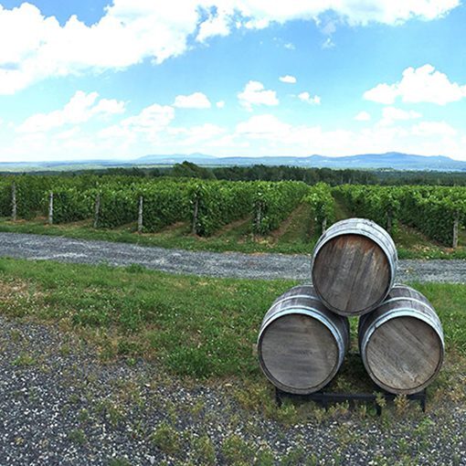 Courville Vineyard