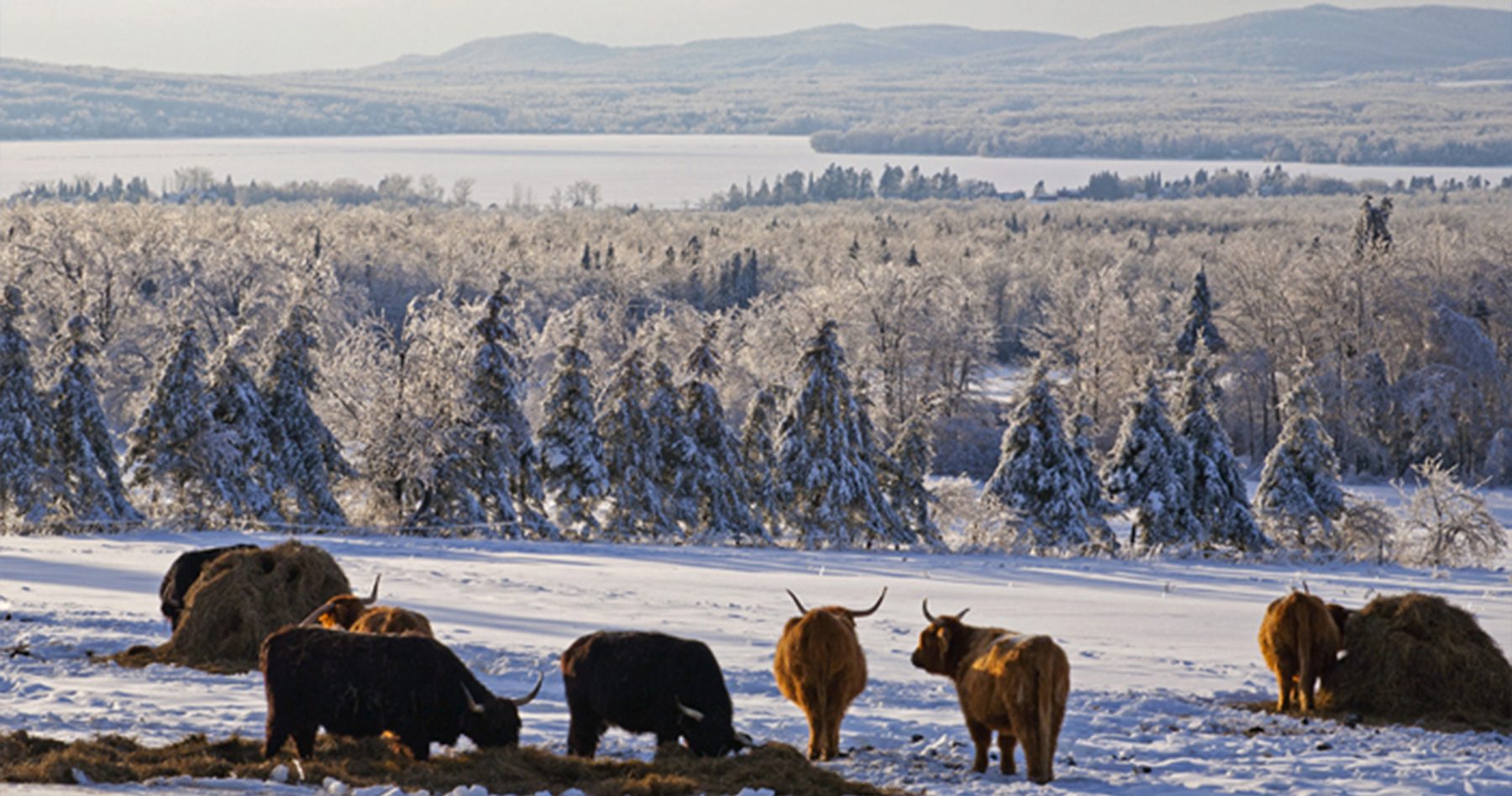 Tourism LacBrome Beauty, it's in our nature Home